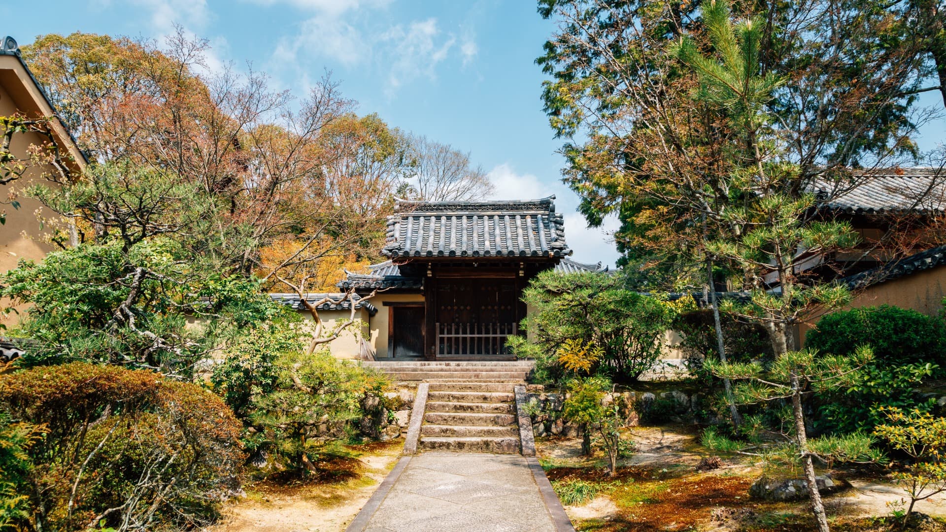 唐招提寺について｜歴史や概要を詳しく解説